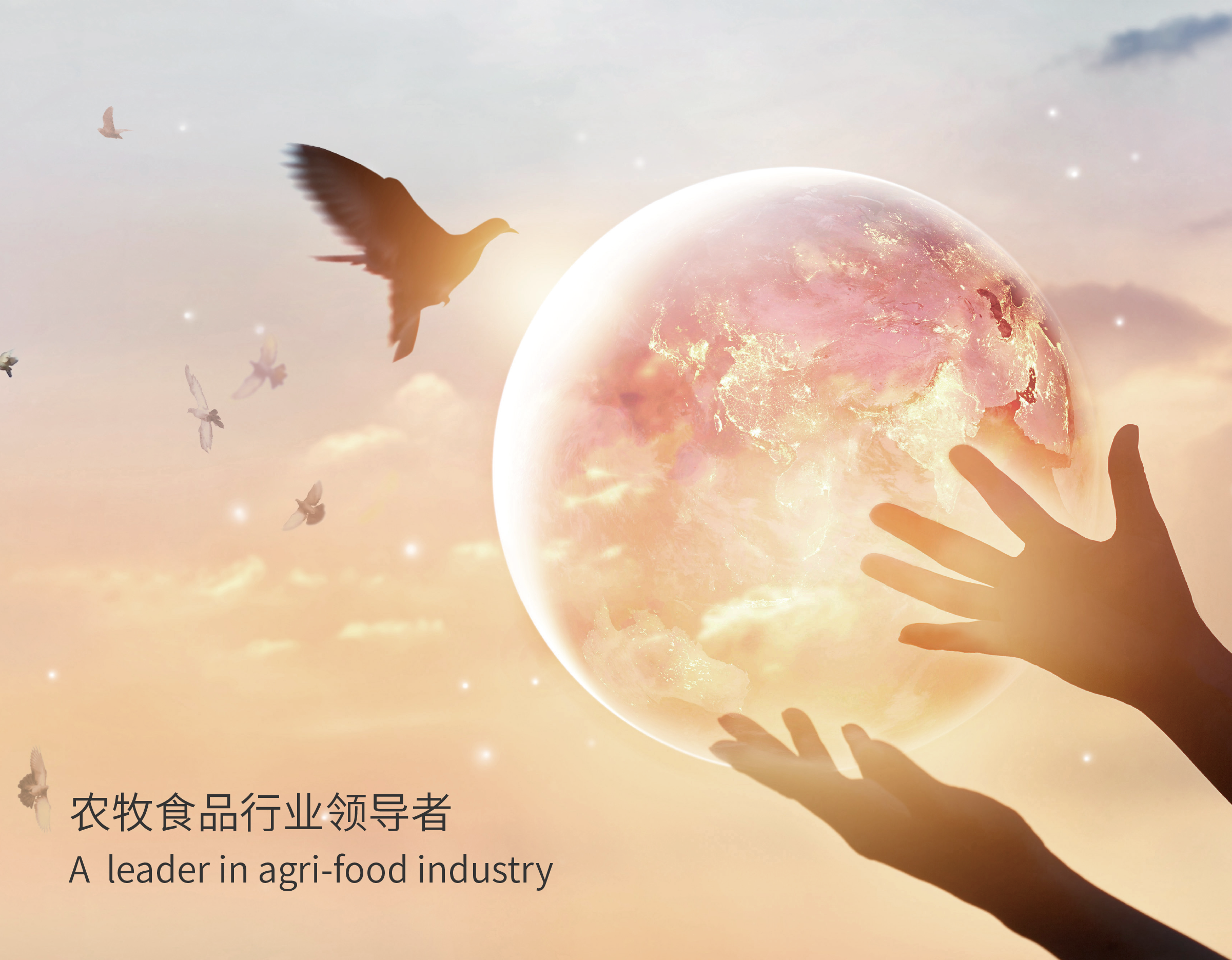 星空体育中国网站