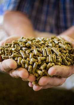 星空体育在线官方vip:配方奶粉相关食物资讯_食物同伴网