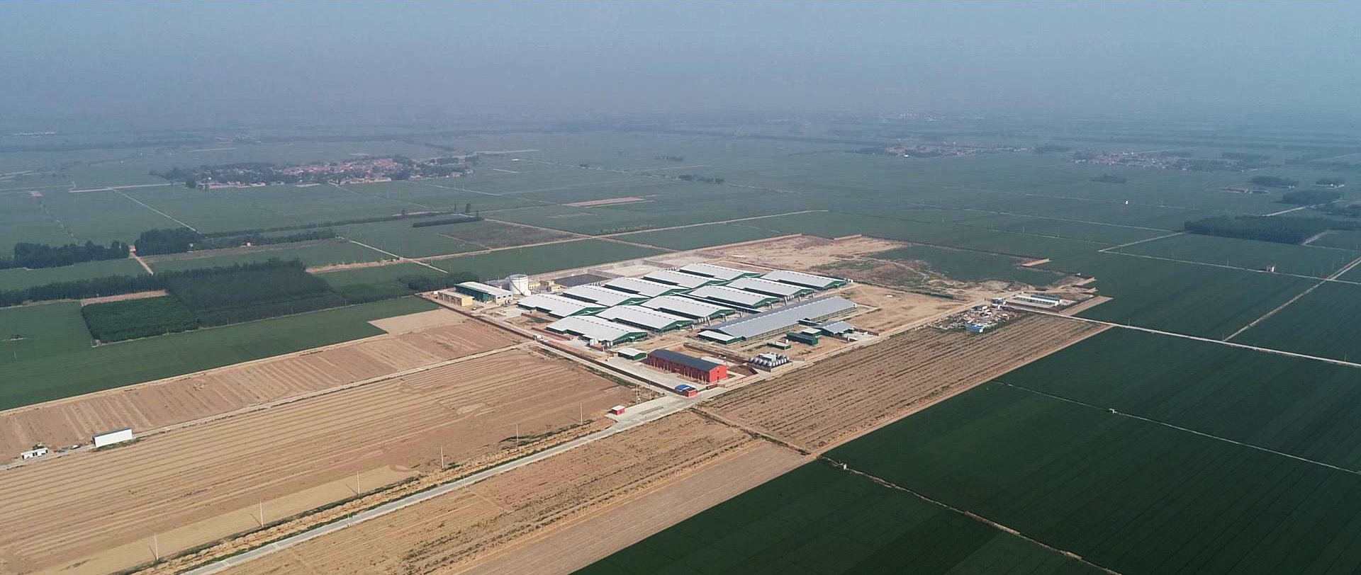 星空体育在线官方vip:肉鸡市场行情：毛鸡供应紧张推动毛鸡价格持续上涨（20251024-1030）